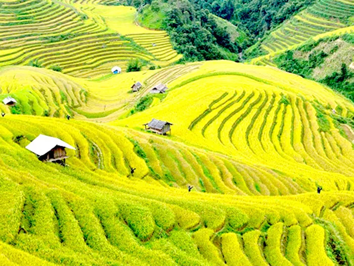 HÀ NỘI - YÊN BÁI